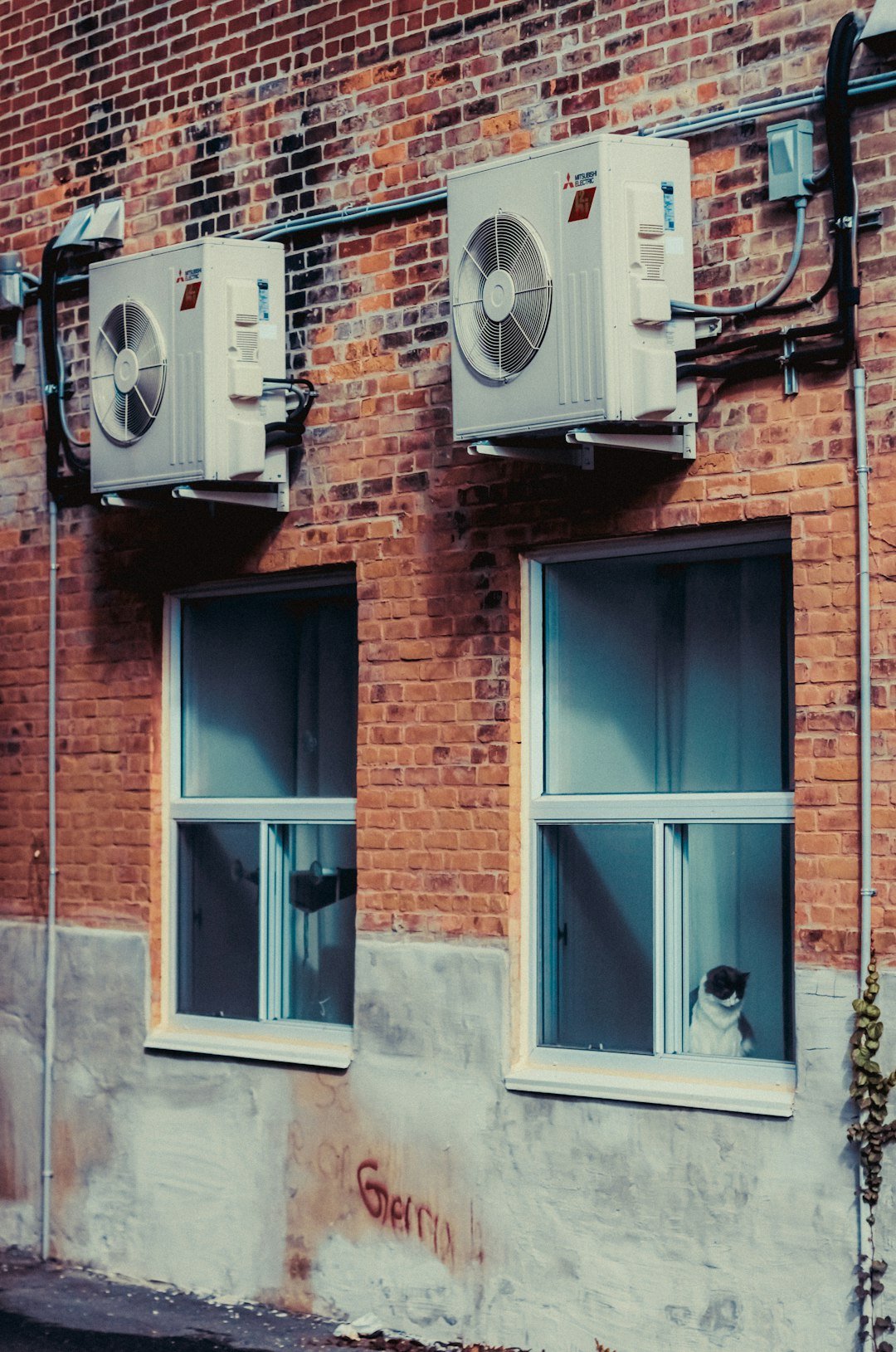 cat on windowsill in brick building under heat pump units